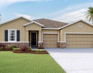 32313 Conchshell Sail Street, Wesley Chapel image