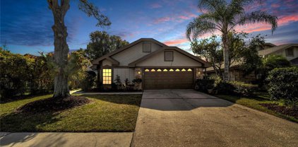 5018 Cypress Trace Drive, Tampa