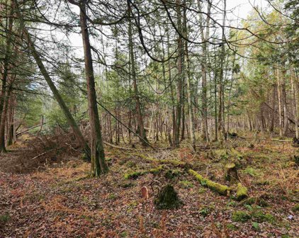THRUN LANE, Custer