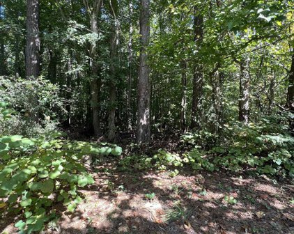 4510 Bale Court, Snellville