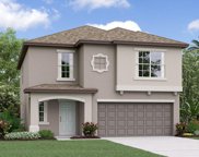 6636 Back Forty Loop, Zephyrhills image