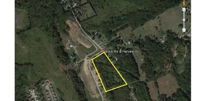 * Sardis Road, Murrysville