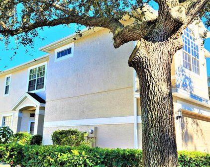 3655 Country Pointe Place, Palm Harbor