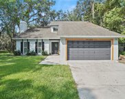 2025 Dockside Drive, Valrico image