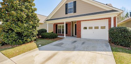 313 Tall Shadows Lane, Columbia