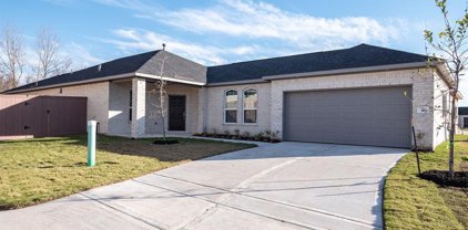 310 Barred Owl Court, Clute