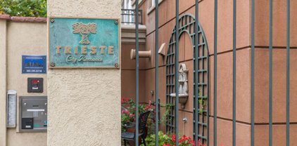 1100 Cherokee Street Unit 701, Denver