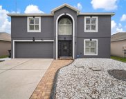 10410 Fly Fishing Street, Riverview image