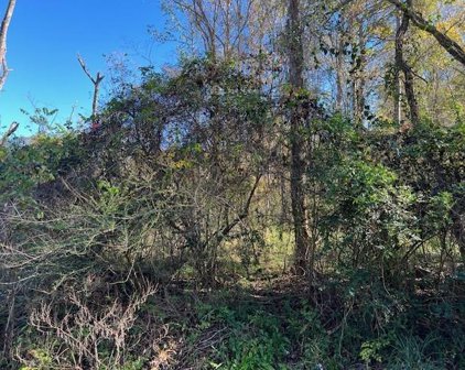 000 Lazy Creek Drive, New Caney