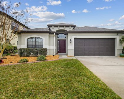 14248 Saltby Place, Spring Hill
