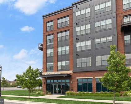 502 Diamondback Dr Unit #506, Gaithersburg