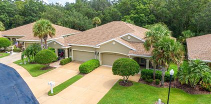 12711 Aston Creek Drive, Tampa