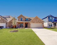 10910 Mendel Terrace Drive, Iowa Colony image