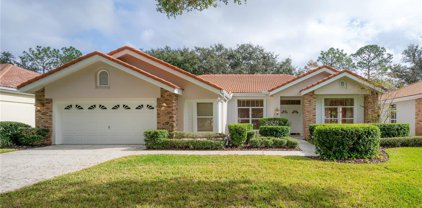 17909 Holly Brook Drive, Tampa