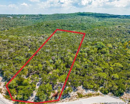 LOT 325 Pr 1742, Mico