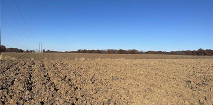 42 +/- Acres Snyder  Road, Troy