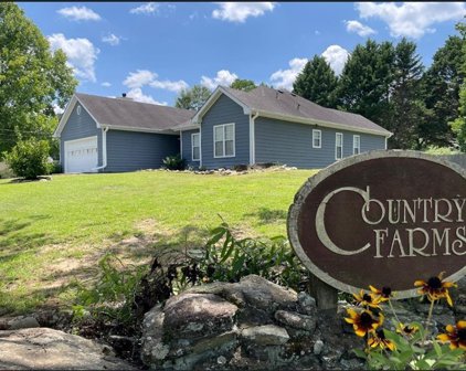 3005 Country Farms Drive, Snellville