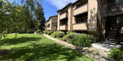 155 Wenatchee Cmn Unit 14, Fremont