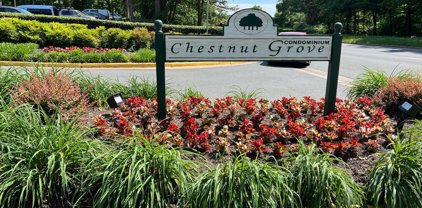 11220 Chestnut Grove Sq Unit #322, Reston