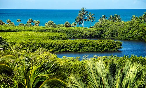 Collier's Reserve Homes for Sale