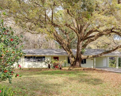 205 Sandyhook Lane, Deland