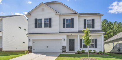 143 Strongridge Trail Unit Lot 201, Simpsonville