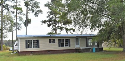 278 Levy A. Ray Road NE, Ludowici
