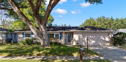 3299 Parkway Place, Palm Harbor