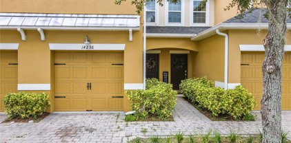 14236 Oasis Cove Boulevard Unit 3204, Windermere