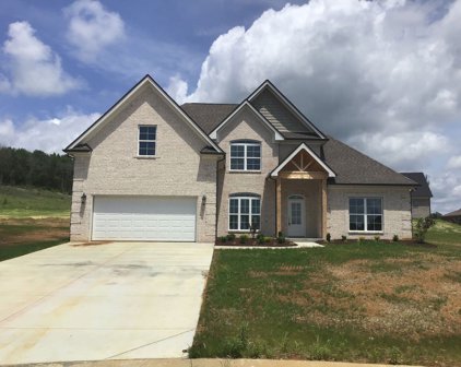 1510 Flat Walk, Lascassas