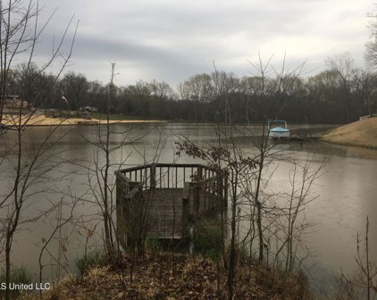 1320 Forrest Lake Cove, Hernando