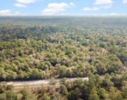 TBD FM 1486, Magnolia image