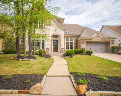 10 Liberty Branch Boulevard, The Woodlands