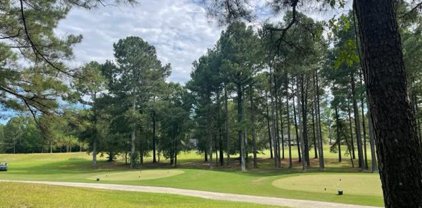 123 Gunnery Ct, Ninety Six