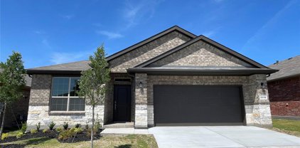 2332 Waggoner Ranch  Drive, Weatherford