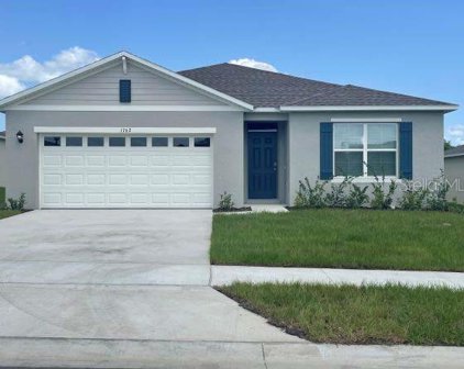 1121 Brimstone Circle, Winter Haven