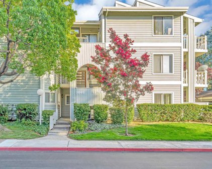 37168 Meadowbrook Cmn Unit 101, Fremont