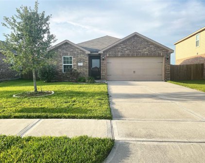 1223 Steel Redan Drive, Iowa Colony