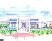 Lot 19 Hawthorn, Rapidan image