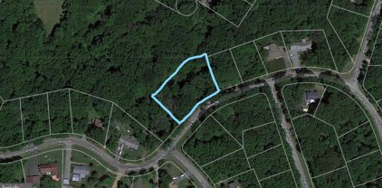 Clarissa Road Parcel 161, Chestertown