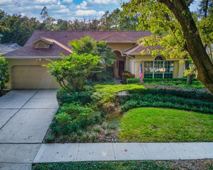 8711 Ashworth Drive, Tampa