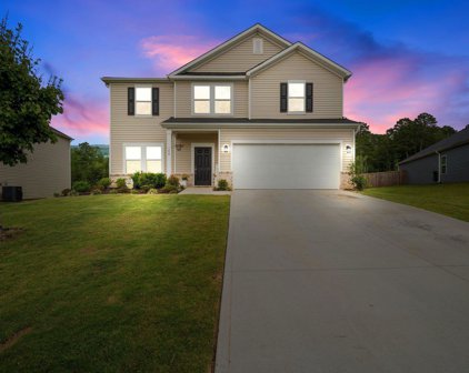 148 Walking Stick Way, Pelzer