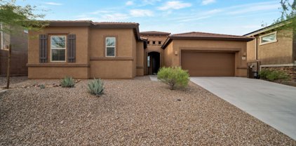 11239 E Lupine Flower, Tucson