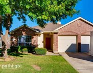 333 Tanglewood  Place, Little Elm image