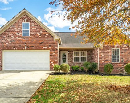 1032 Monticello Pl, Gallatin