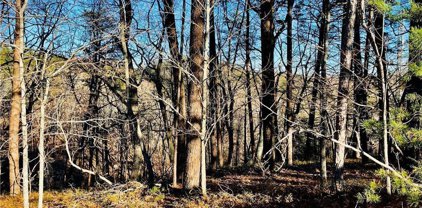23/24 Crown Mountain Way, Dahlonega