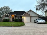 16202 Ruffian Drive, Friendswood image