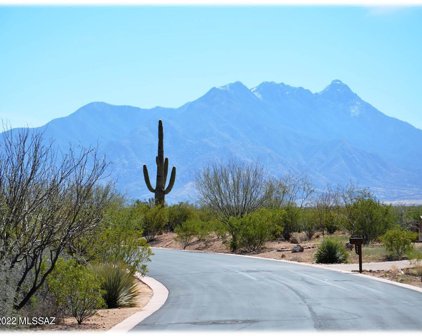 232 N Palomino Run, Sahuarita