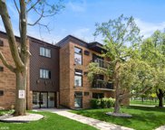 5501 N Chester Avenue Unit #19, Chicago image