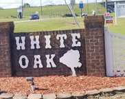 1089 White Oak Drive, Williamston image